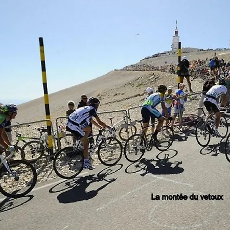 Appartamento La Cigale Malaucène Esterno foto